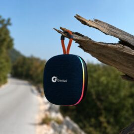 Carnival Wireless Speaker